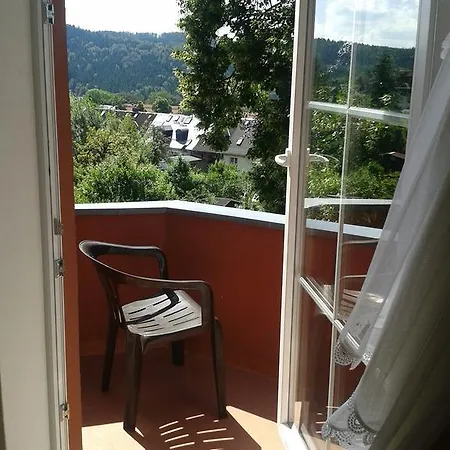 Irmisch 3*